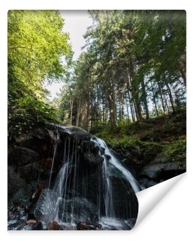 water falling on wet stones in woods