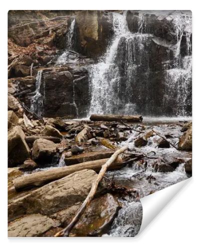 River stream waterfall in forest landscape. Tranquil waterfall scenery in the middle of green forest
