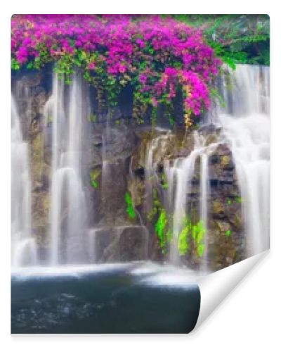 Beautiful Lush Waterfall