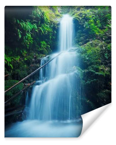 Beautiful Lush Waterfall in Hawaii