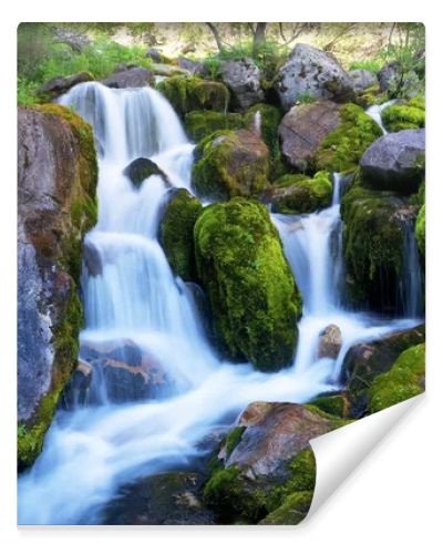 Mountain creek
