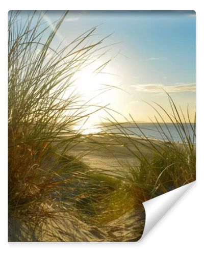 View through beach grass on a sand dune to the sea at sunset, on the North Sea coast in the Netherlands