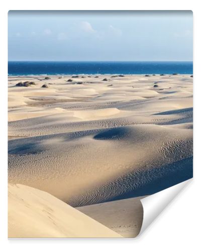 Maspalomas Dunes, Gran Canaria