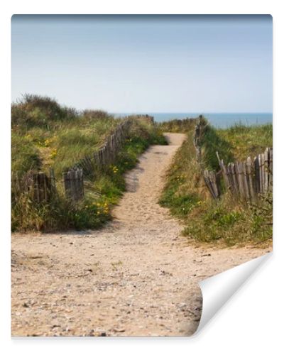 Sand footpath through dunes at the beach