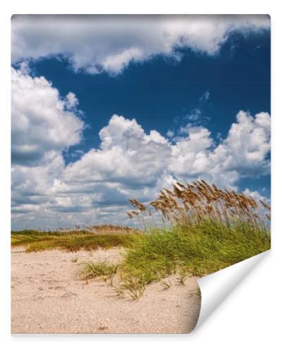 Sea Oats