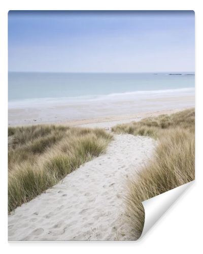 Sandy path leads down through dunes to beautiful golden beach at sunset