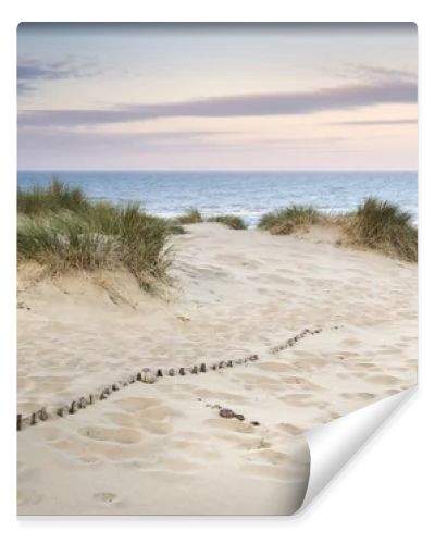 Grassy sand dunes landscape at sunrise