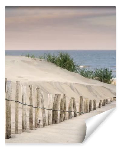 Grassy sand dunes landscape at sunrise