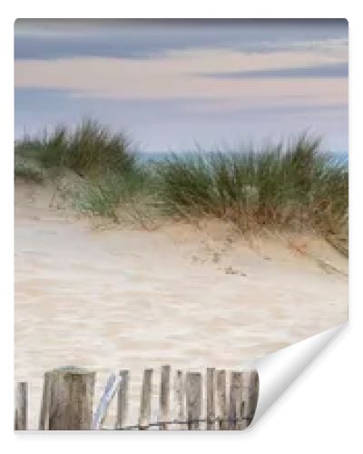 Panorama landscape of sand dunes system on beach at sunrise