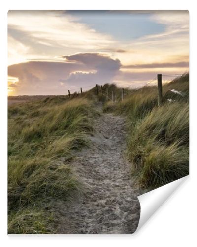 Blue sky Summer beach sunset landscape