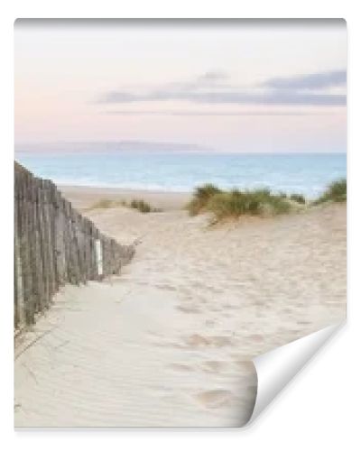 Panorama landscape of sand dunes system on beach at sunrise