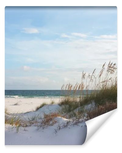 Beautiful beach and dunes at sunset