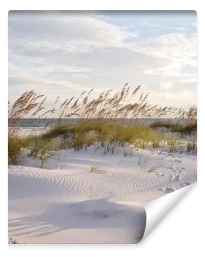 Footprints in the Beach Dunes at Sunset