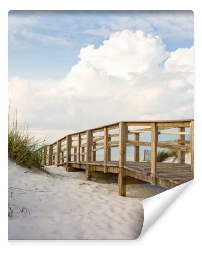 Boardwalk in the Beach Sand Dunes