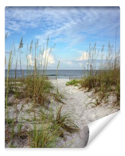 New Day Dawns at White Sands Beach