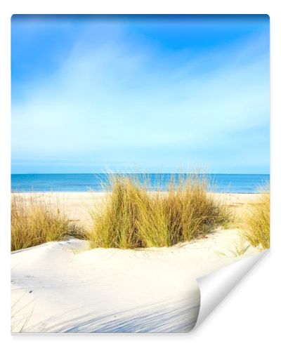 Grass on a white sand dunes beach, ocean and sky