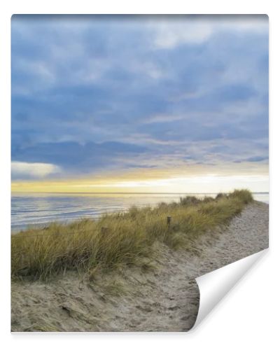 Footpath in the dunes during sunset