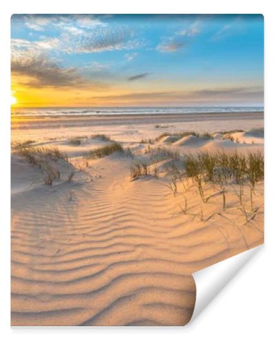 Beach and dunes Dutch coastline landscape seen from Wijk aan Zee over the North Sea at sunset, Netherlands