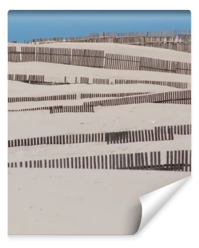 Wooden fences on deserted beach dunes in Tarifa, Spain