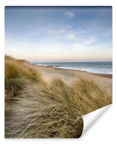 Sand Dunes at Hengistbury Head