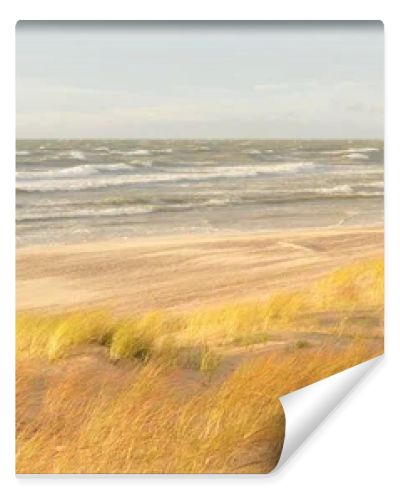 Baltic sea coast (sand dunes) after the storm at sunset. Clear sky, glowing clouds, wind. Autumn landscape. Nature, environmental conservation, ecology, ecotourism, local travel
