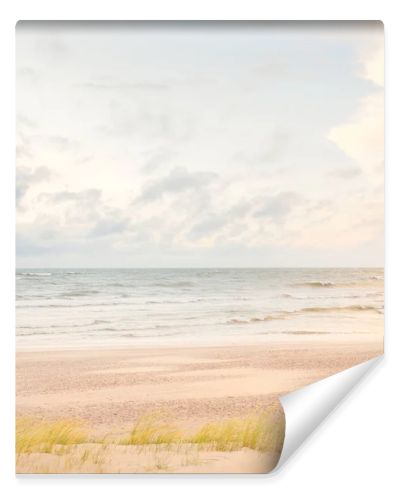 Baltic sea coast (sand dunes) after the storm at sunset. Clear sky, glowing clouds, wind. Autumn landscape. Nature, environmental conservation, ecology, ecotourism, local travel