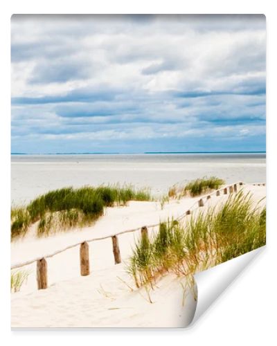 Fence on dune at seaside with stormy clouds visible.