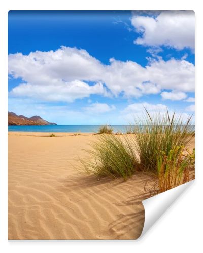 Almeria Playa Genoveses beach Cabo de Gata