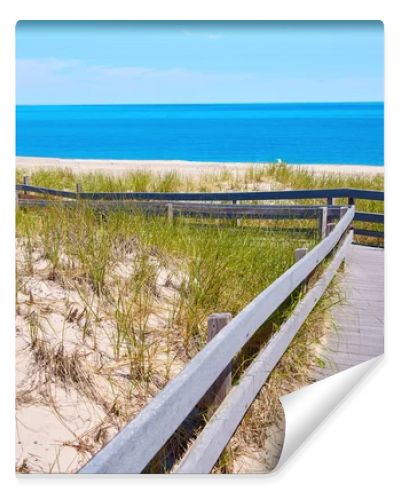 Cape Cod Sandy Neck Beach Massachusetts US