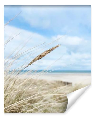 Baltic sea dunes over blue coastline background in Northern Germany