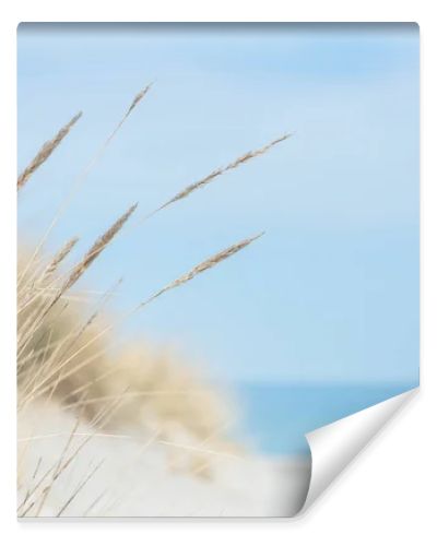Baltic sea dunes over blue coastline background in Northern Germany