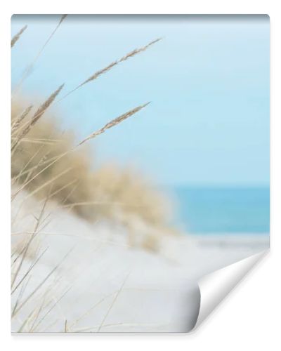 Baltic sea dunes over blue coastline background in Northern Germany