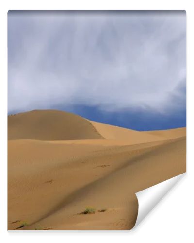 Imperial Sand Dunes