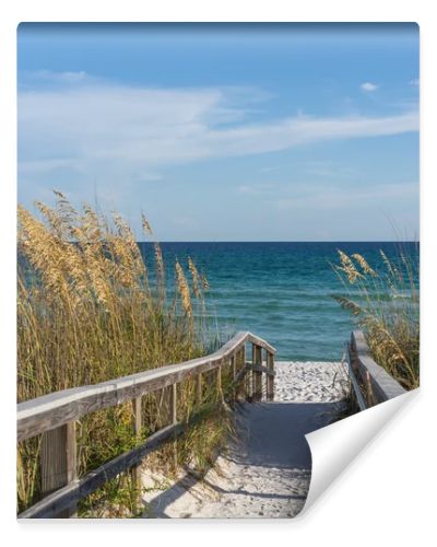 Footpath to beach in paradise