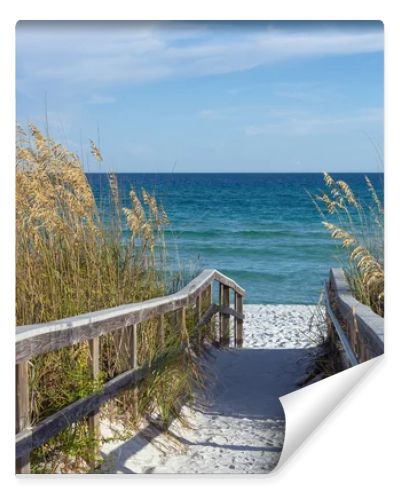 Beach Boardwalk with Dunes and Sea Oats