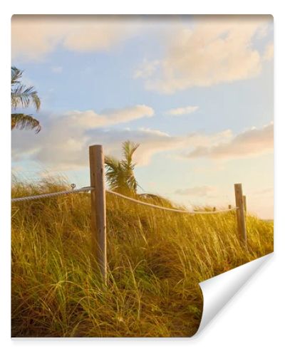 Path to the beach with Sea Oats, grass dunes at sunrise or sunset in Miami Beach, Florida