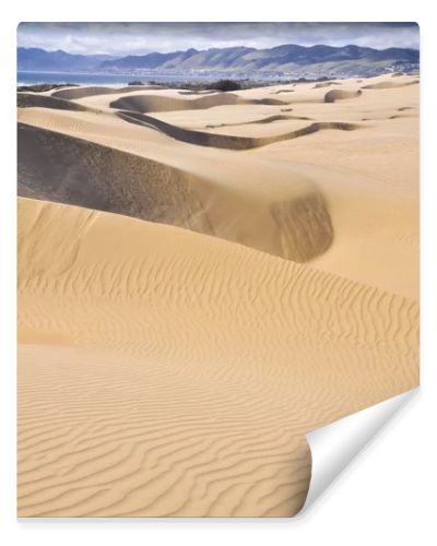 Oceano Dunes Natural Preserve, California (USA)