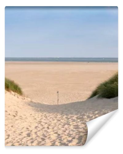 dunes and beach on dutch island of texel on sunny day with blue sky