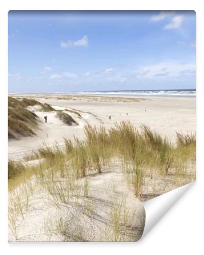 dunes and view over north sea on the island of vlieland in the n