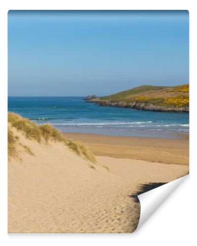 Sand dunes Crantock beach North Cornwall England UK near Newquay and on the South West Coast Path in spring with blue sky and sea