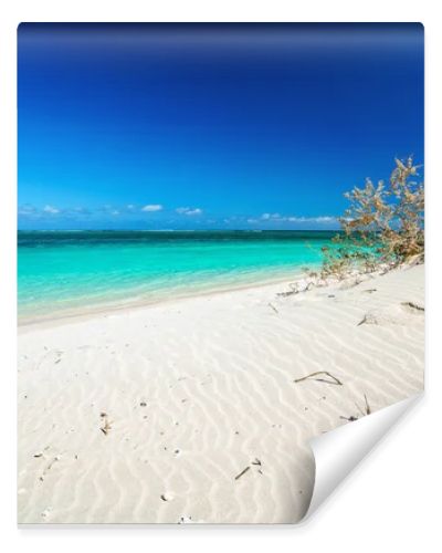 white sand and turquoise water on the beach of turquoise bay, cape range, western australia