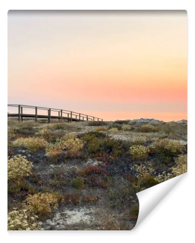A wooden boardwalk stretches across wild coastal dunes blooming with flora towards a radiant golden sunset over the calm ocean horizon at Furadouro beach in Ovar Portugal creating a serene scene