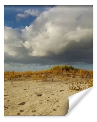 Sandy dunes dotted with grass stretch toward a distant ocean horizon beneath dramatic storm clouds, evoking solitude, nature, and changing weather on a quiet coastal landscape at low angle light.