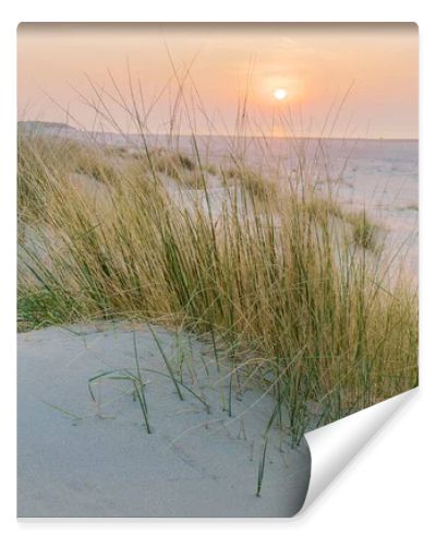 Golden hour paints the sky above the serene beach and dunes. Tall grasses sway gently, casting soft shadows on the cool, blue sand as the sun dips below the horizon.