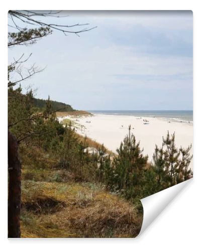 Wide sandy Baltic Sea beach with coastal pine forest and dune landscape under cloudy summer sky
