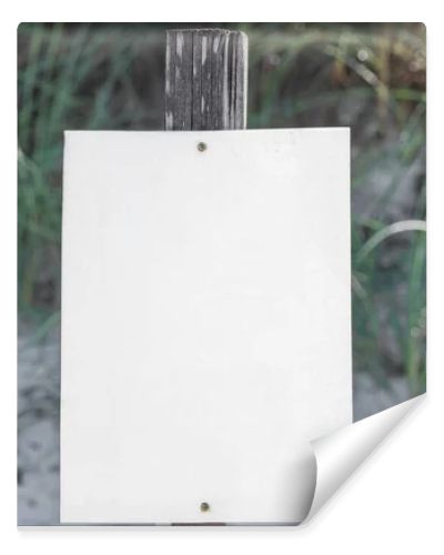 A stark white blank sign stands tall on a 4x4 post, anchored in the pristine white beach sand of Port St. Joe, with blurred coastal vegetation softening the background.