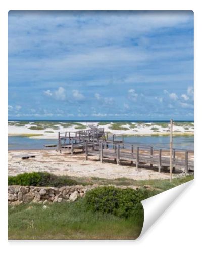 Coastal Wetland Landscape With Wooden Walkway And Sand Dunes in Mari Ermi Cabras