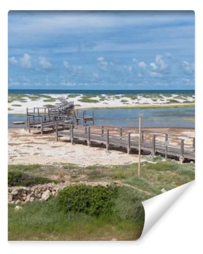 Coastal Wetland Landscape With Wooden Walkway And Sand Dunes in Mari Ermi Cabras