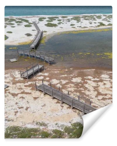 Coastal Wetland Landscape With Wooden Walkway And Sand Dunes in Mari Ermi Cabras