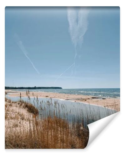 Scenic coastal landscape with sandy beach, calm lagoon and tall reeds under a bright blue sky crossed by airplane contrails. Natural shoreline with copy space, ideal for travel, environment and tourism concepts.